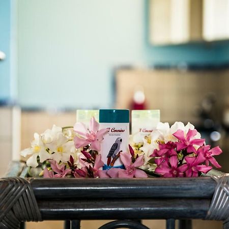 B&B Il Cenerino SantʼAntìoco Eksteriør bilde