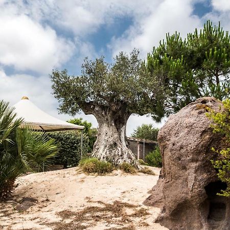 B&B Il Cenerino SantʼAntìoco Eksteriør bilde